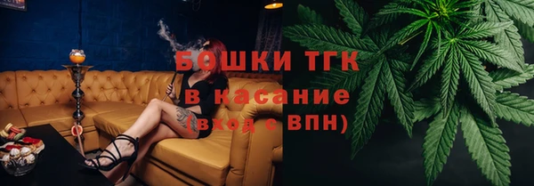 индика Инсар