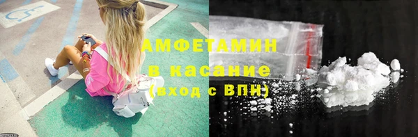 индика Инсар