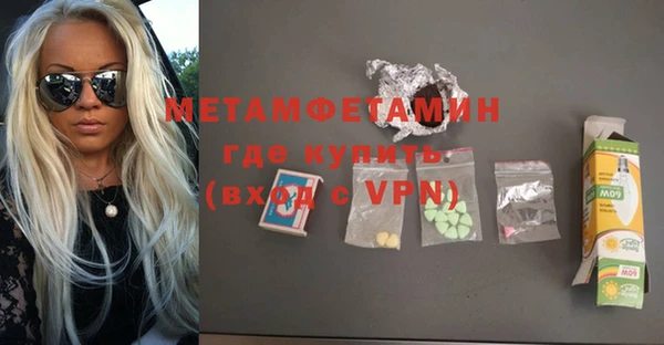 индика Инсар