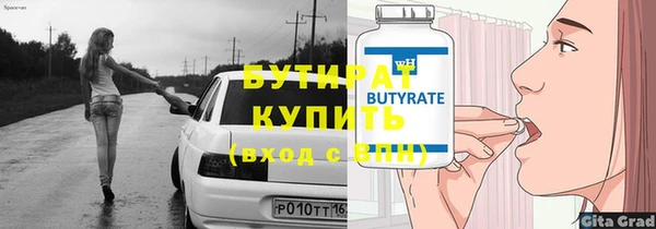 индика Инсар