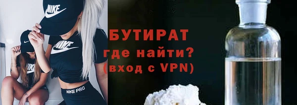 индика Инсар
