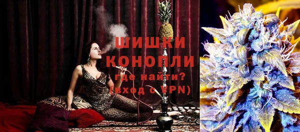 индика Инсар