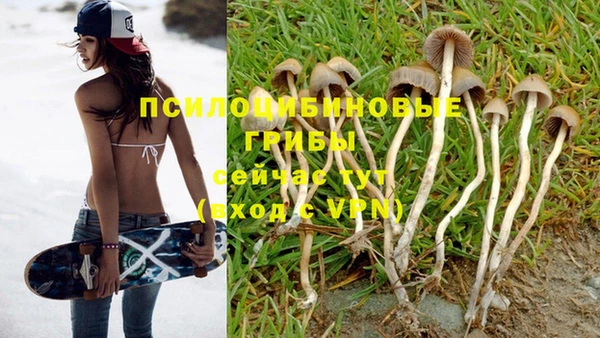 стафф Инта