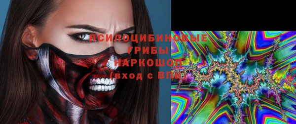 индика Инсар