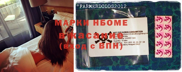 стафф Инта