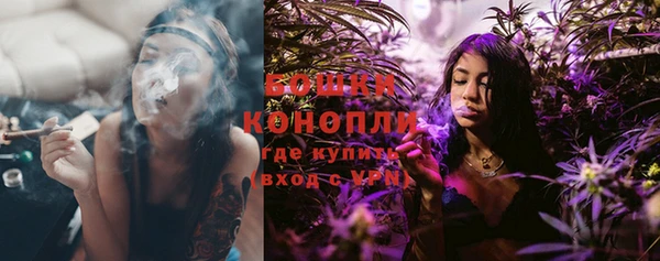 индика Инсар