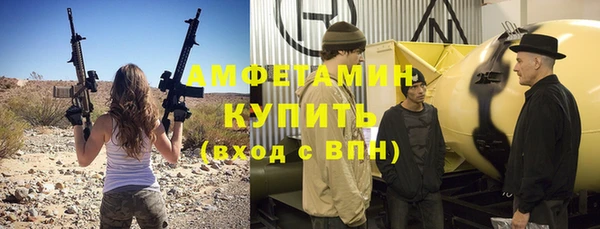 индика Инсар