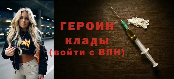 индика Инсар