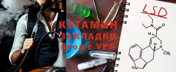 индика Инсар