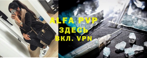 индика Инсар