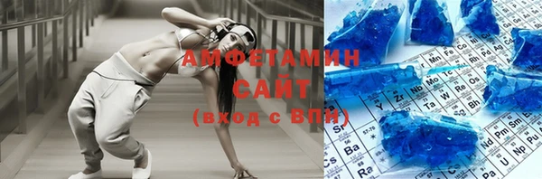 индика Инсар