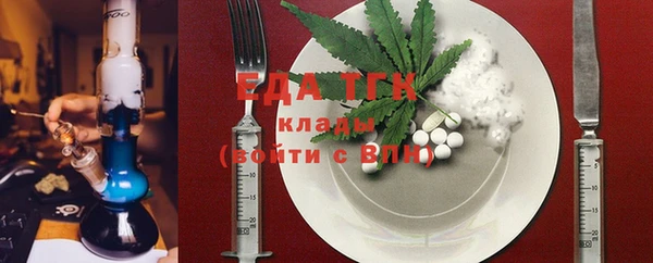 индика Инсар